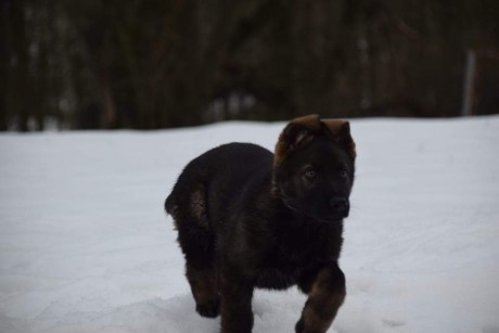 received_179264687001400